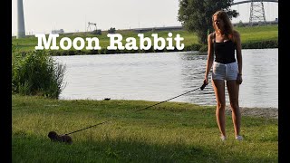 Cloud Control - Moon Rabbit