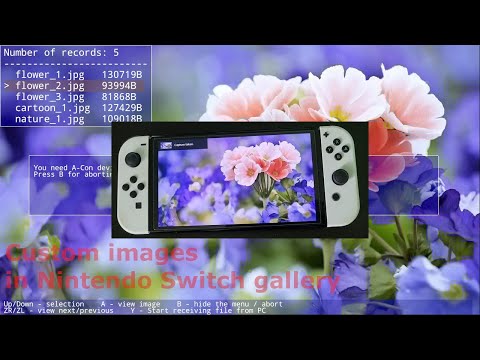 Custom images in Nintendo Switch gallery - prove of concept with FUZE 4