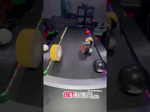 Tape vs Ball who wins? 👀