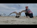 Feeding The Seagulls At Ogunquit Beach Maine