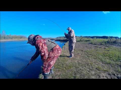 супер Лещ