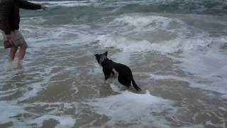 KJ and JCW in rough surf at OBX