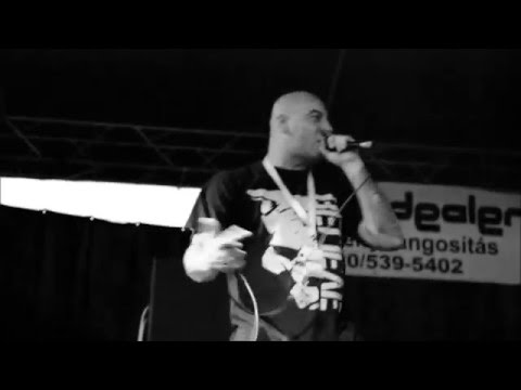 MRW Feat Gotti Mi van itt 2015 -Party Video-