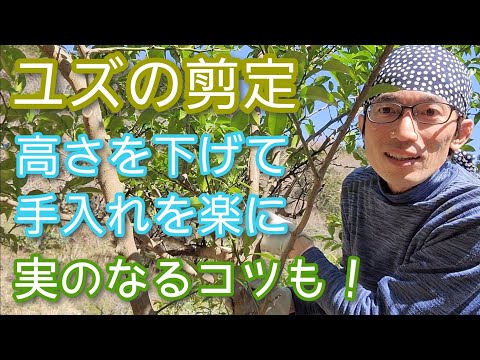 移動する植物の水やりスケジュールいつ水やりをするか