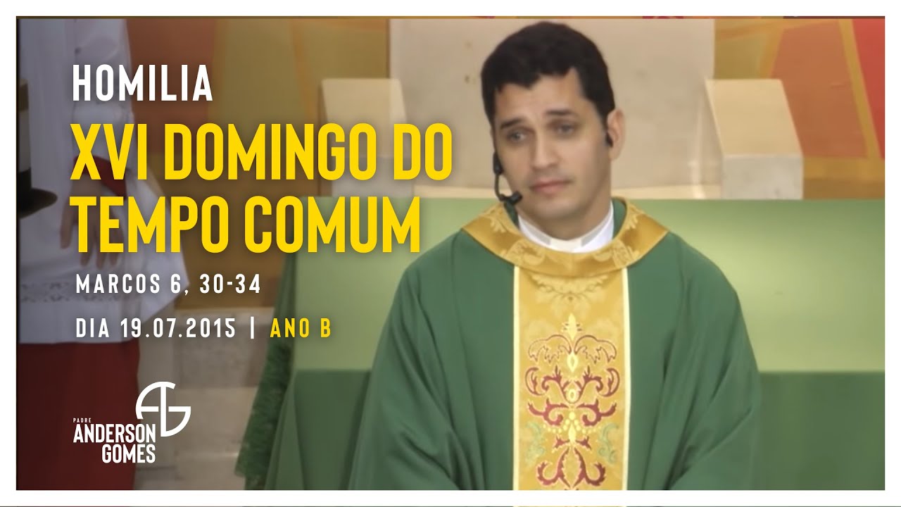 HOMILIA 16º Domingo do Tempo Comum (Mc 6, 30-34/Ano B) - 19/07/2015