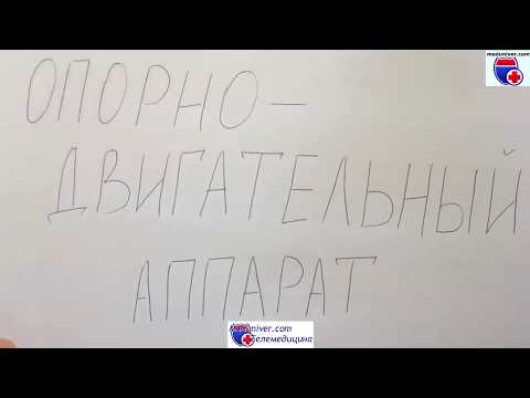 Копчик боли в грудном отделе Дисплазия тазобедренного сустава степень 2