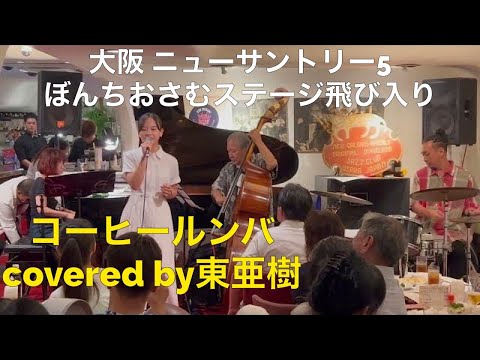あずまあき飛び入り　コーヒールンバcovered by Aki Azuma