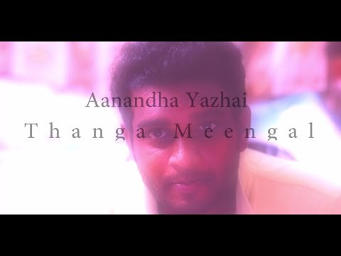 Thangameenkal - Aanandha Yaazhai Cover Video Song | SIBI | Yuvan