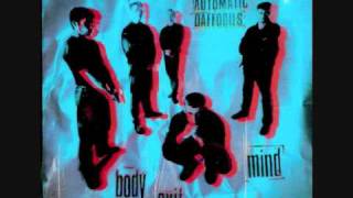 New Fats Automatic Daffodils-I Take You To Sleep