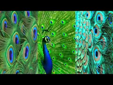 Ezdi Musik Asmer dile 2012 HD