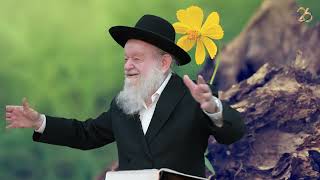 הלכות תשובה לרמב"ם | שיעור 2 | הרב יוסף צ. בן פורת - תשפ"ה (הרב יוסף צבי בן פורת) - התמונה מוצגת ישירות מתוך אתר האינטרנט יוטיוב. זכויות היוצרים בתמונה שייכות ליוצרה. קישור קרדיט למקור התוכן נמצא בתוך דף הסרטון