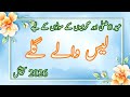 Top 40 Trending Lace Neck Designs For Eid 2026 Lace Neck Designs Neck Design 2026