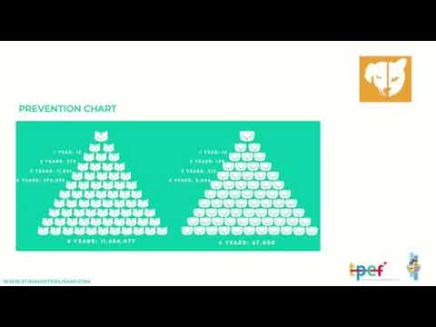 Cu yudansa di fondo di TPEF lo sterilisa 6 mil chacho riba caya