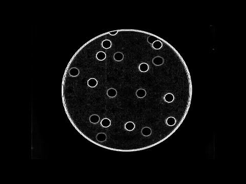 Lali Puna: The Bucket