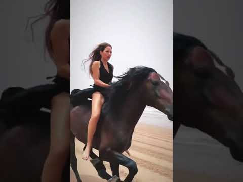 , title : 'Cara Menunggang Kuda Yang Benar'