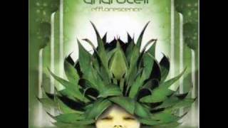 Androcell - Dub Crickets