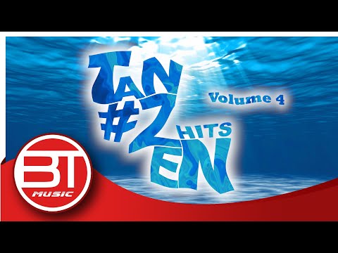 #Tanzen Hits - Party Mix Vol. 04
