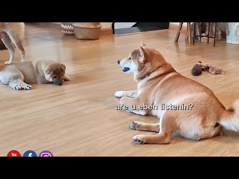 How strict is your Japanese Daddo?