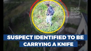 AI Solutions: Video Surveillance