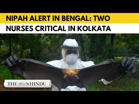 Nipah virus detected in West Bengal: What we know so far