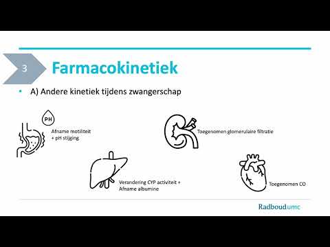 Samenvatting Zwangerschap en Lactatie (Module L)