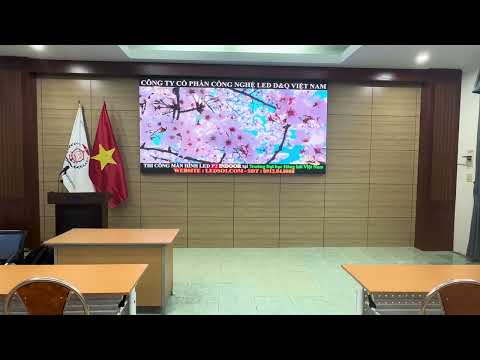 Video dự án