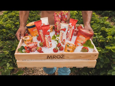 Mrož! Zmrzlina, která spojuje. Celá reklama 45s