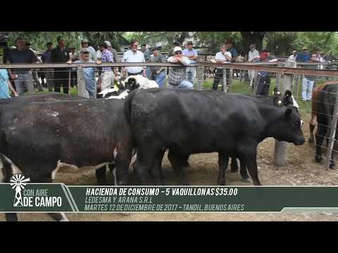 Resumen del Remate de Ledesma y Arana S.R.L. - Martes 12 de diciembre de 2017 - Tandil