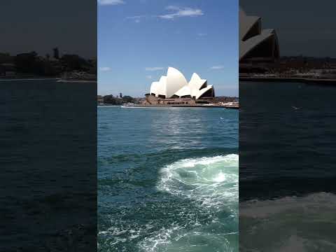 Thumbnail for Sydney Harbour Magic 🌊 | Radiance of the Seas