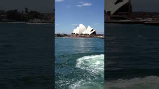Sydney Harbour Magic 🌊 | Radiance of the Seas