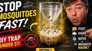 Bite back! Mosquitos gone for less than a dollar 