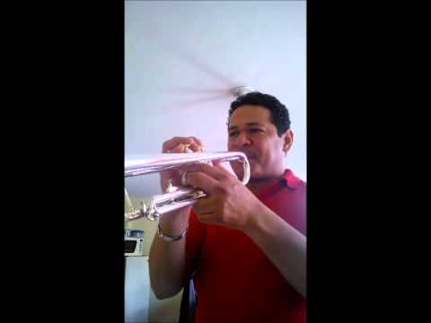 Como Aplicar el FLUTTER en los estudios de la trompeta