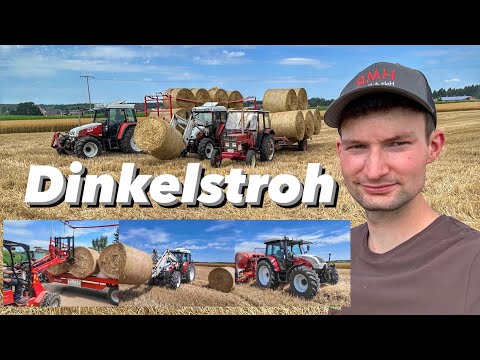 Dinkelstroh will Hoim! | Bauernhofteam | Steyr 9095 MT | Steyr 9086 | Steyr 968 | IHC 433 |