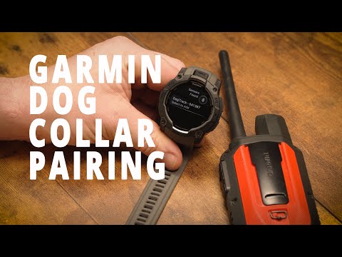 Pair Your Garmin Watch To Track Your Dog In Minutes