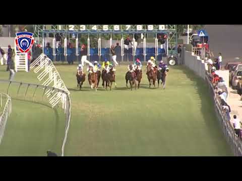 RM2 R7 - Ku Du Tu | D.David