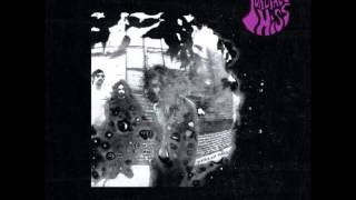 Purling Hiss - Mary Bumble Bee