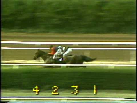 John Henry - Sword Dancer Stakes - Belmont Park - 7/12/1980
