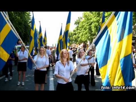 Svensk Ungdom - Fattar du, Svensk!