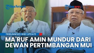 KH Ma'ruf Amin Resmi Mundur dari Jabatan Ketua Dewan Pertimbangan MUI