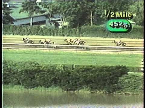 1989 Haskell H. -- King Glorious