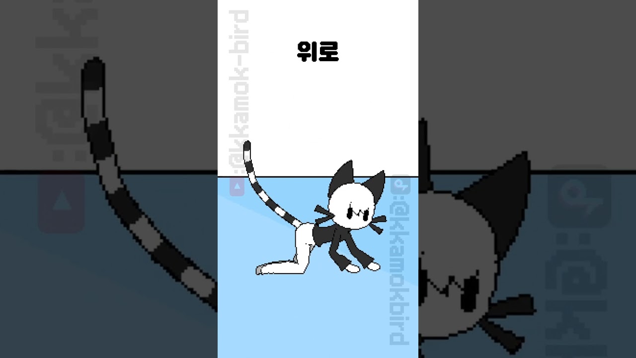 꽁꽁 고양이