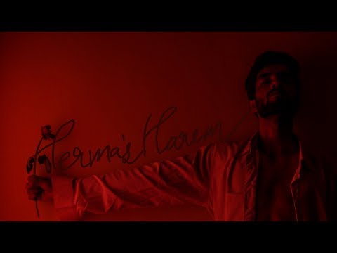 Nikhil Miglani Herma's Harem (2018)