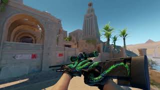AWP Atheris FN