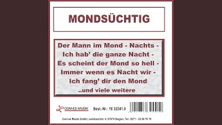 Ich hab&#39; die ganze Nacht (Re-Recording)