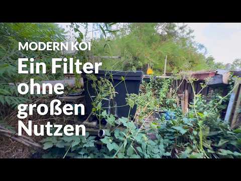 Ekki's 18-year-old filter | Modern Koi Blog #7967