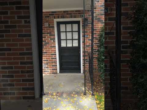 The Palms - Video 2 of 2