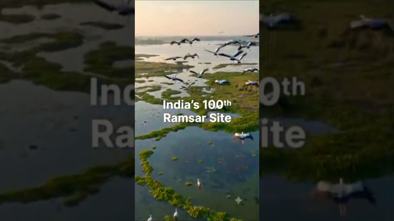 🌎 एक Wetland भारत को बाढ़ से कैसे बचातीहै#brainfuel#conservewetlands#Ramsar site#currentaffairs2026