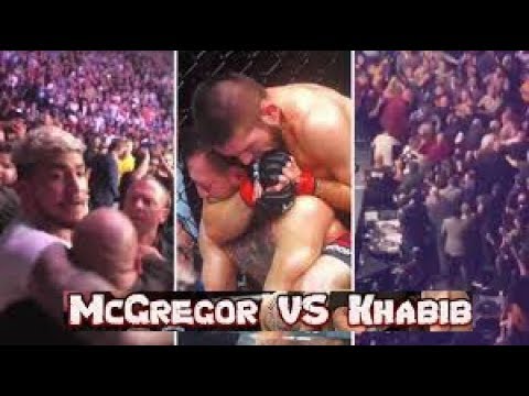 UFC 229 - McGregor vs Khabib SCARY BRAWL, ALL ANGLES Octagon