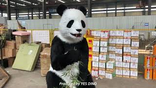 Animatronic giant panda eating bamboo