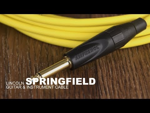 Lincoln SPRINGFIELD / Gotham DGS-1 Straight 1/4" Guitar & Instrument Cable - 10FT / Goldenrod Yellow image 2